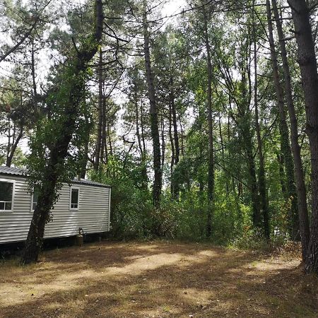 Le Ilo - Camping La Dune Blanche 카미에르 외부 사진